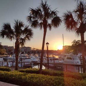 Meet your Posher, Gale